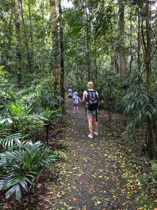 dd8fbab9-3c34-4e40-a789-2b81714f8713