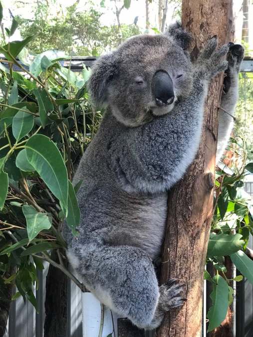 f9dca37f-4add-445d-b1e5-f8a42b34c193