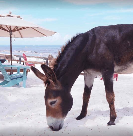 Bildschirmfoto 2019-09-23 um 10.28.39