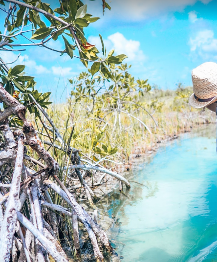 Bildschirmfoto 2019-09-23 um 10.31.55